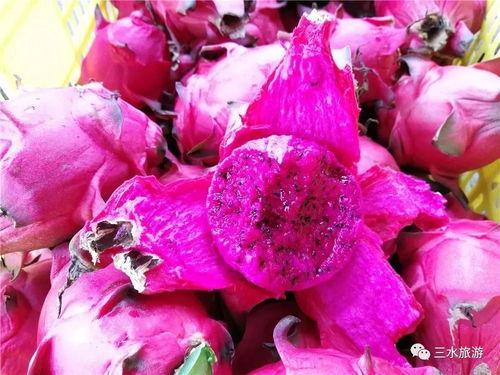 娱乐吃瓜火龙果