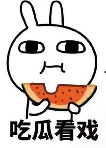 娱乐吃瓜酱省钱,解锁快乐生活新姿势